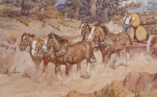 Allan Thomas Bernaldo - Timber Dray