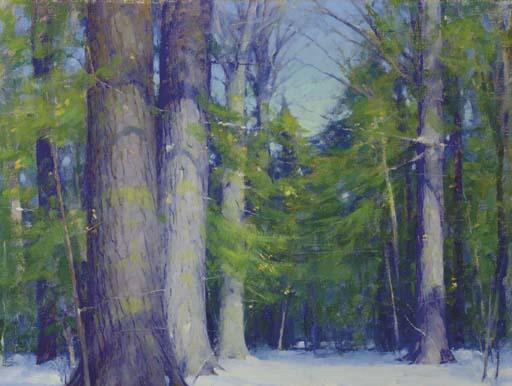 Allen Dean Cochran - Snow On The Forest Floor