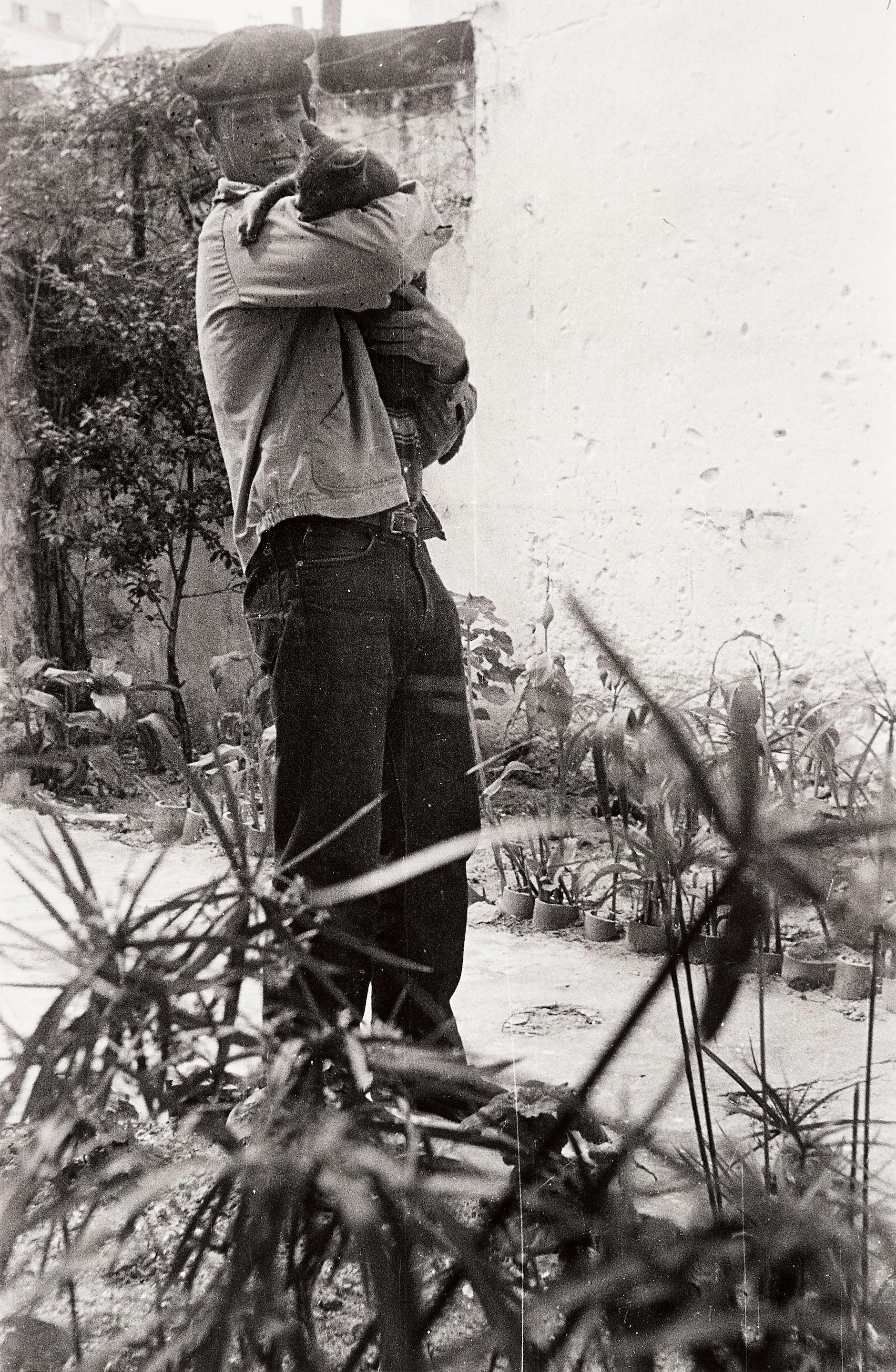 Allen Ginsberg - Jack Kerouac Holding William S. Burroughs\' Cat, Villa Muneria, Tangiers