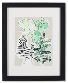 Allison Houghton - Fern Sketch