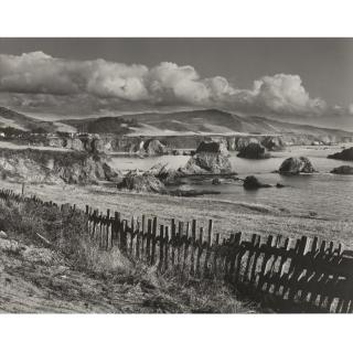 Alma Lavenson - \'Mendocino Coast\'