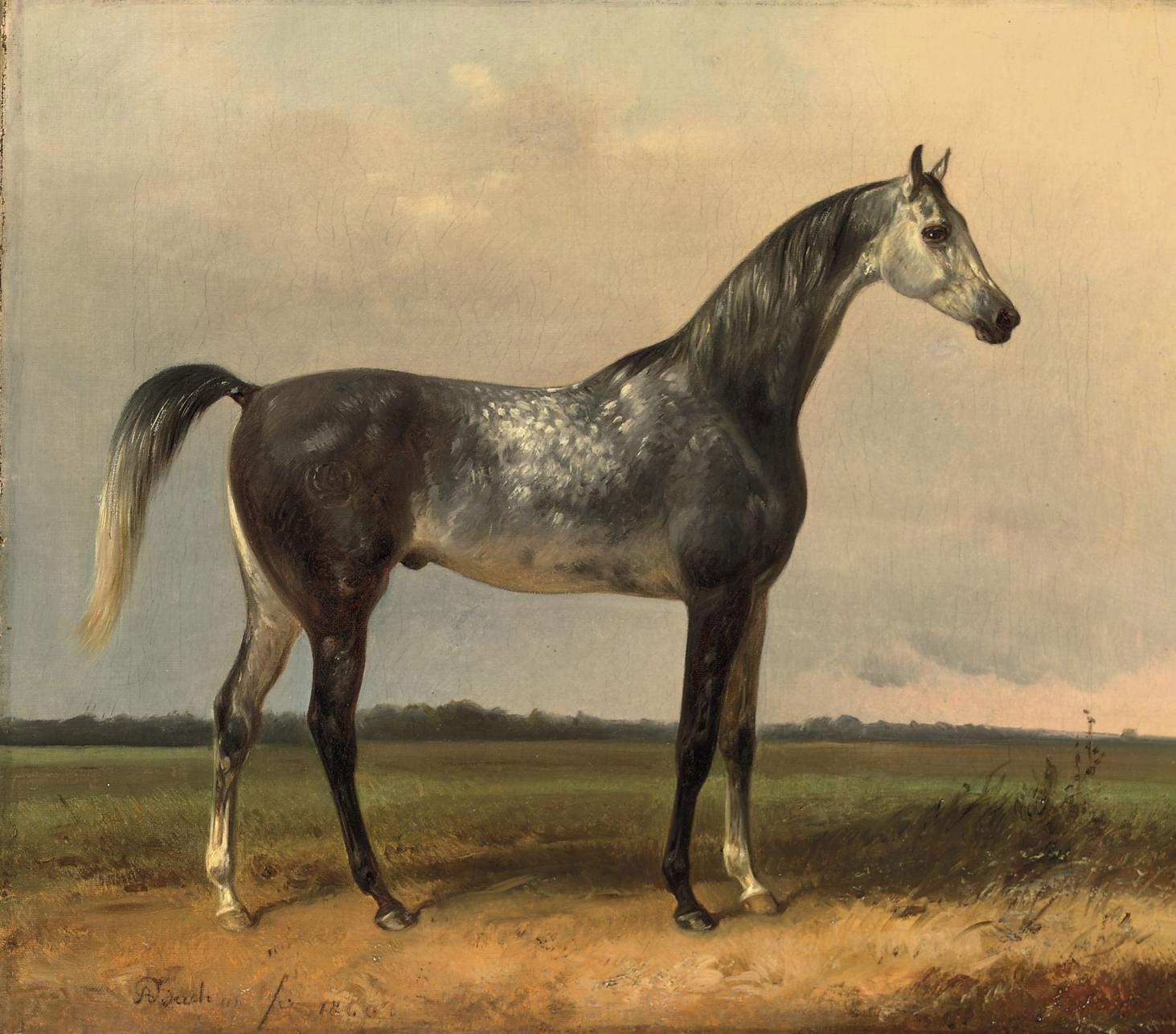 Alois Bach - A gray horse in the meadow
