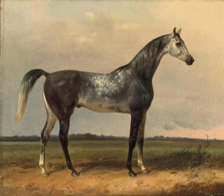 Alois Bach - A gray horse in the meadow
