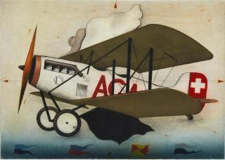 Alois Janak - Flugzeug