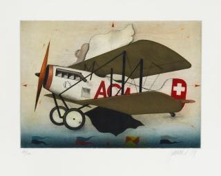 Alois Janak - Flugzeug