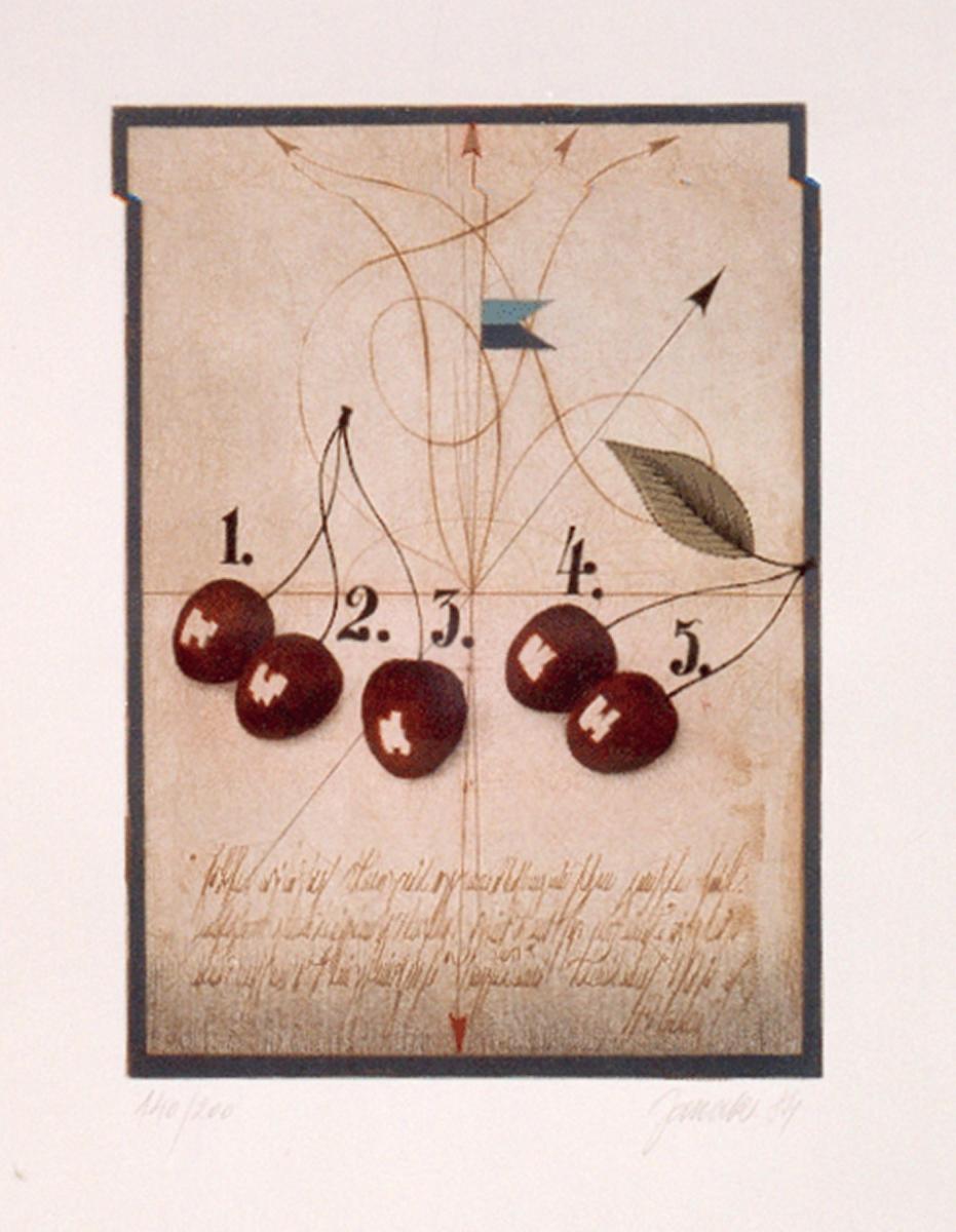 Alois Janak - Kirschen