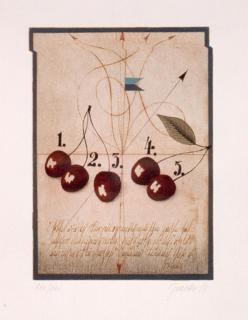 Alois Janak - Kirschen