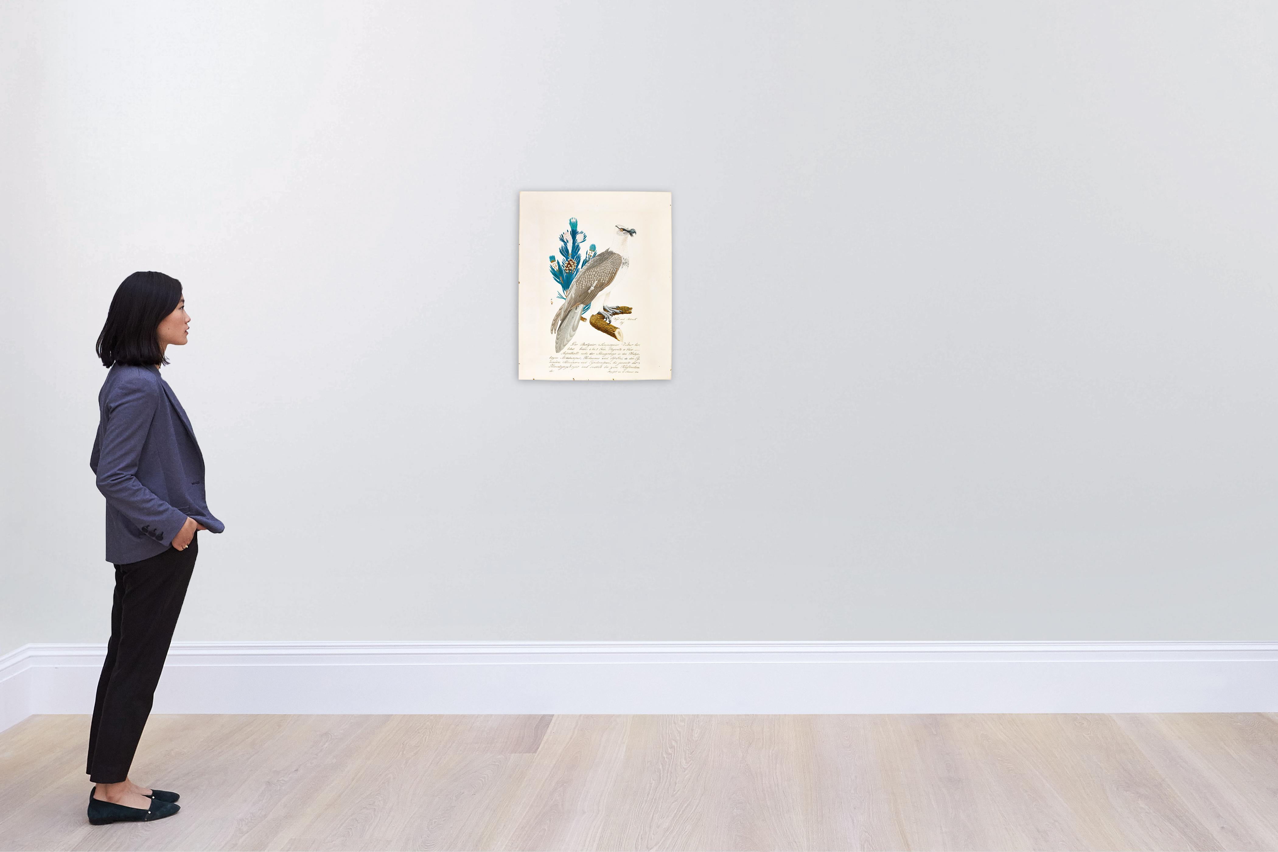 Aloys Zötl - A Bearded Vulture