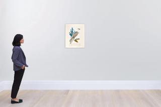 Aloys Zötl - A Bearded Vulture