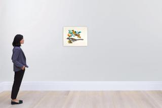 Aloys Zötl - A South Island Kokako And A Female Malabar Trogon On A Branch Of An Orange Tree