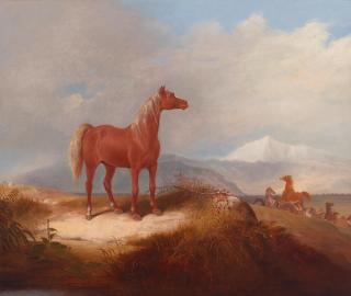 Alvan Fisher - The Leader of the Herd