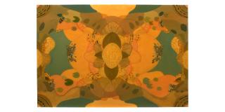 Alyson Shotz - A Slight Magnification