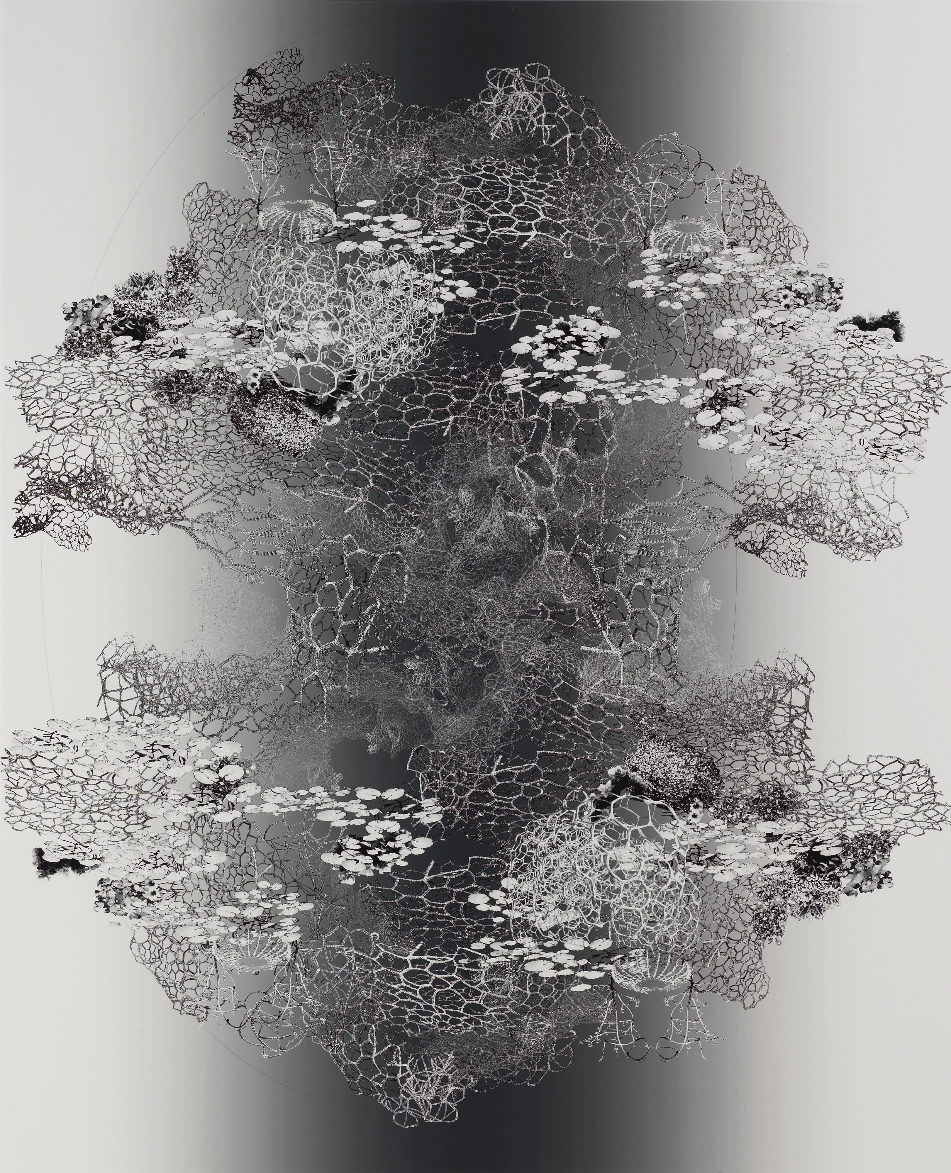 Alyson Shotz - Forced Bloom No. 4