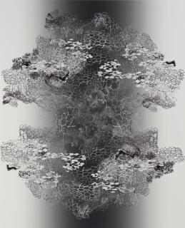 Alyson Shotz - Forced Bloom No. 4