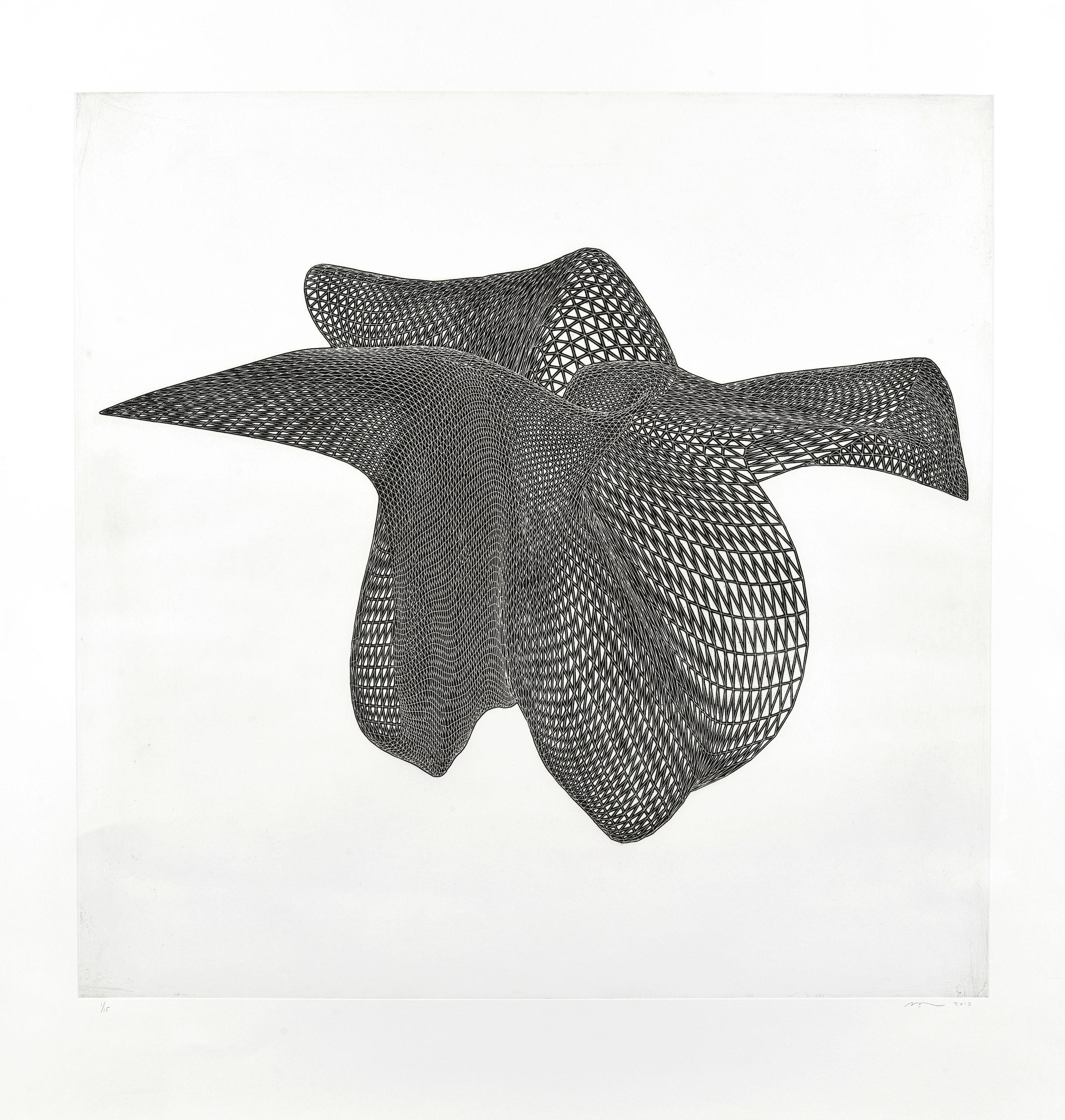 Alyson Shotz - Three Views of an Object #2