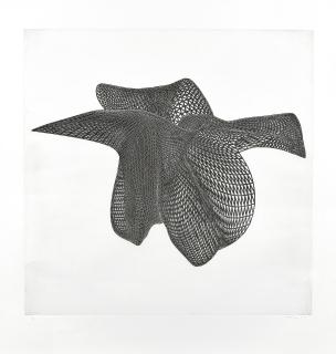 Alyson Shotz - Three Views of an Object #2