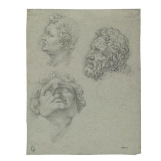 Ambrogio Figino - Studies Of Heads After The Laocoön