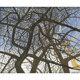 Amédée Ozenfant - Ramure