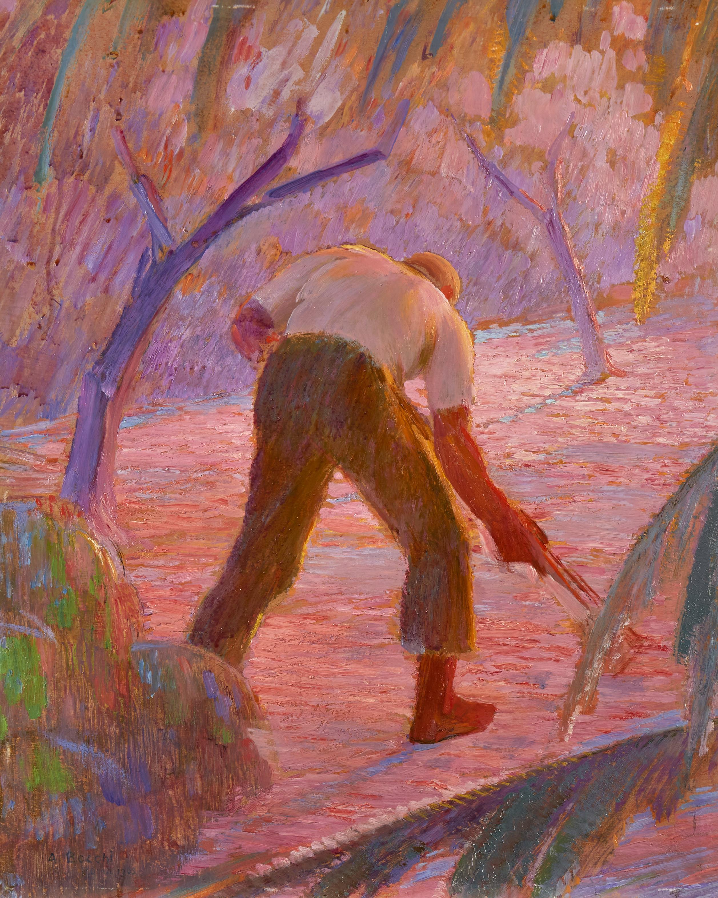 Amedeo Bocchi - Senza titolo