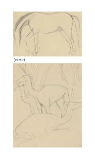 Amrita Sher-Gil - Untitled (Camels) Recto; Untitled (Horse) Verso