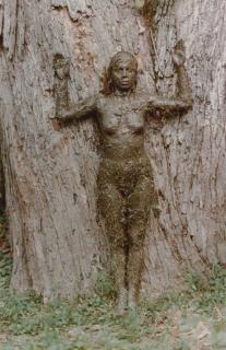 Ana Mendieta - Arbol de la Vida (Tree of Life), From The Silueta Series