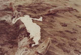 Ana Mendieta - Arbor de la Vida (Tree of Life series)