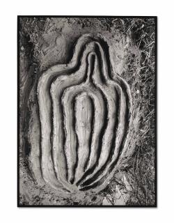 Ana Mendieta - La Vivificación de la Carne: El Laberinto de Venus Series  (The Vivification of the Flesh: Labyrinth of Venus Series)