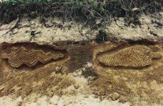 Ana Mendieta - Untitled (From Portfolio Documenting Earthworks, Long Island, N.Y.)