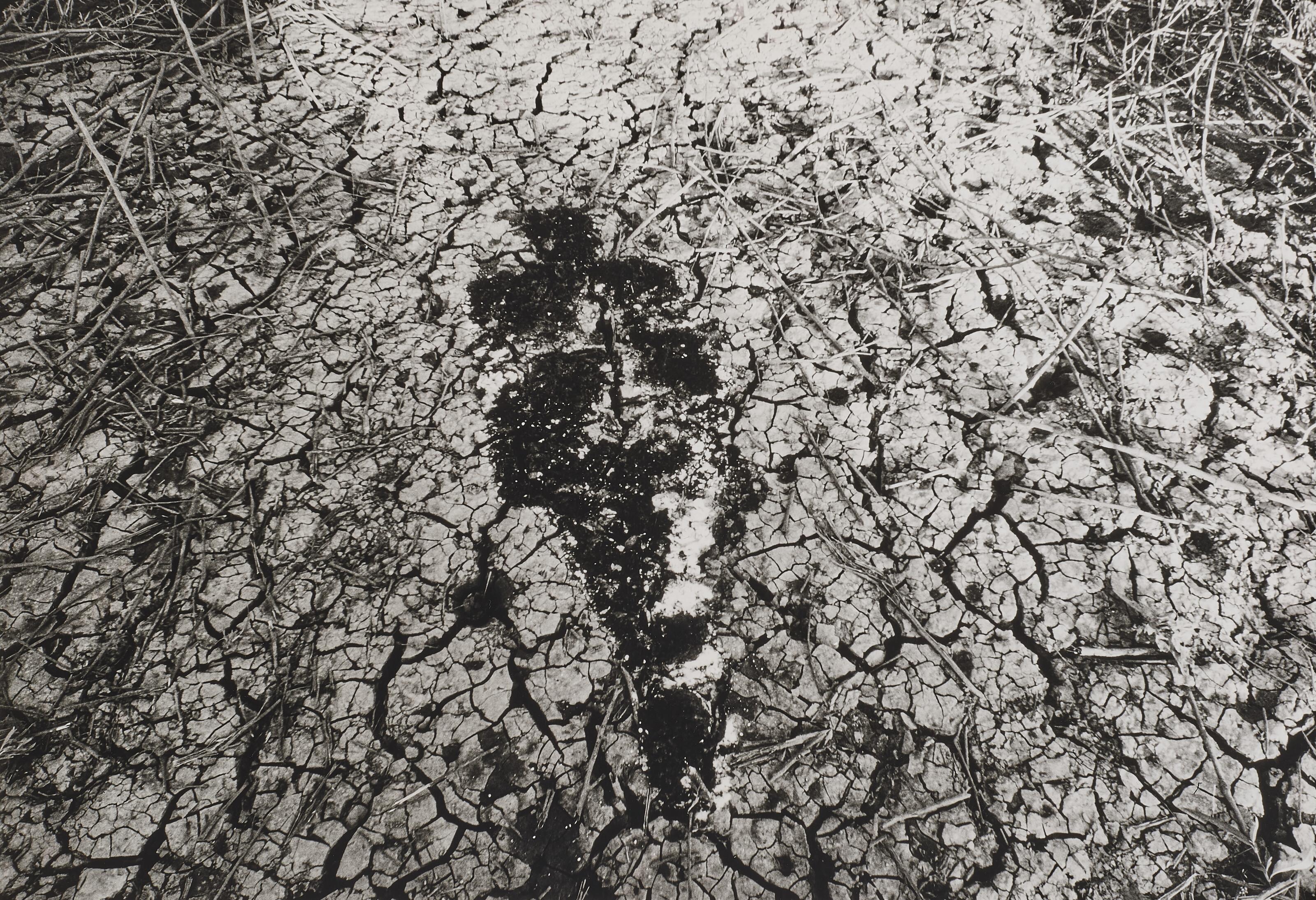 Ana Mendieta - Untitled (from Silueta series)1978