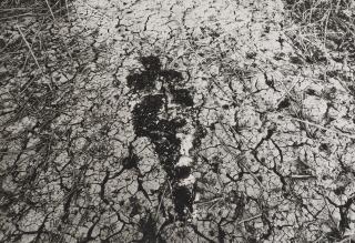 Ana Mendieta - Untitled (from Silueta series)1978