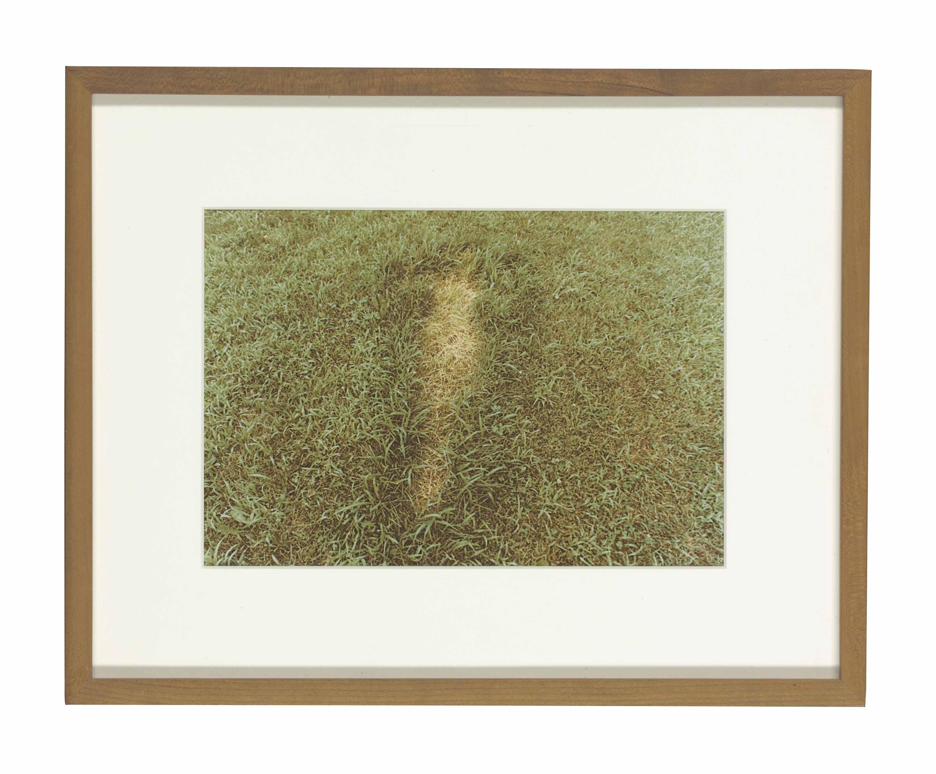Ana Mendieta - Untitled, from Silueta Series, Iowa, 1978