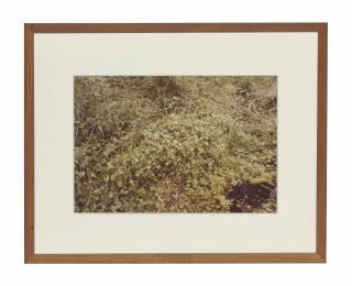Ana Mendieta - Untitled, from Silueta Series, Iowa, 1979