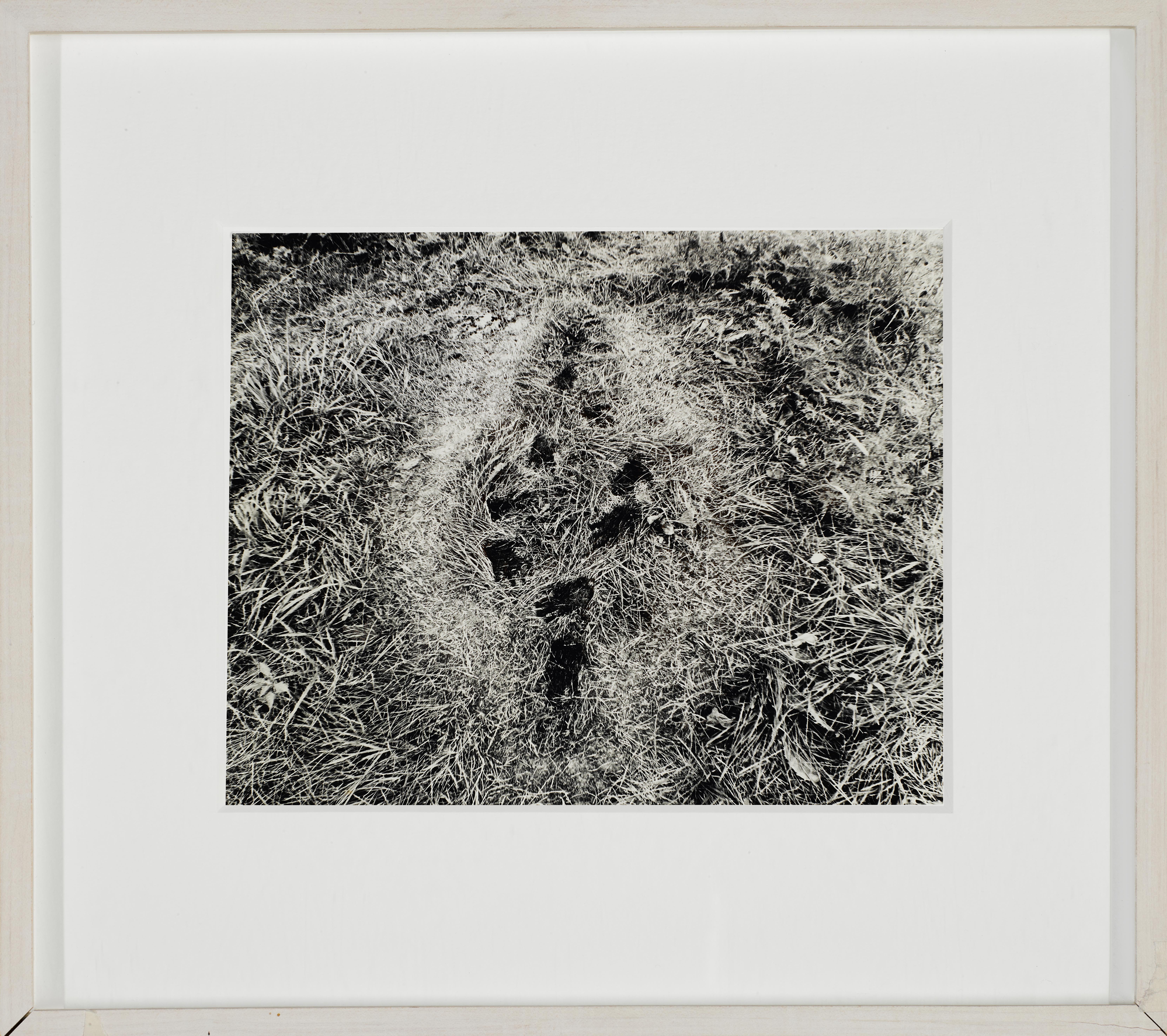 Ana Mendieta - \'Untitled\' (From The Silueta Series), Iowa, 1978