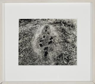 Ana Mendieta - \'Untitled\' (From The Silueta Series), Iowa, 1978