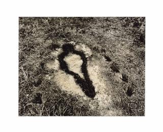 Ana Mendieta - Untitled (from the Silueta series)