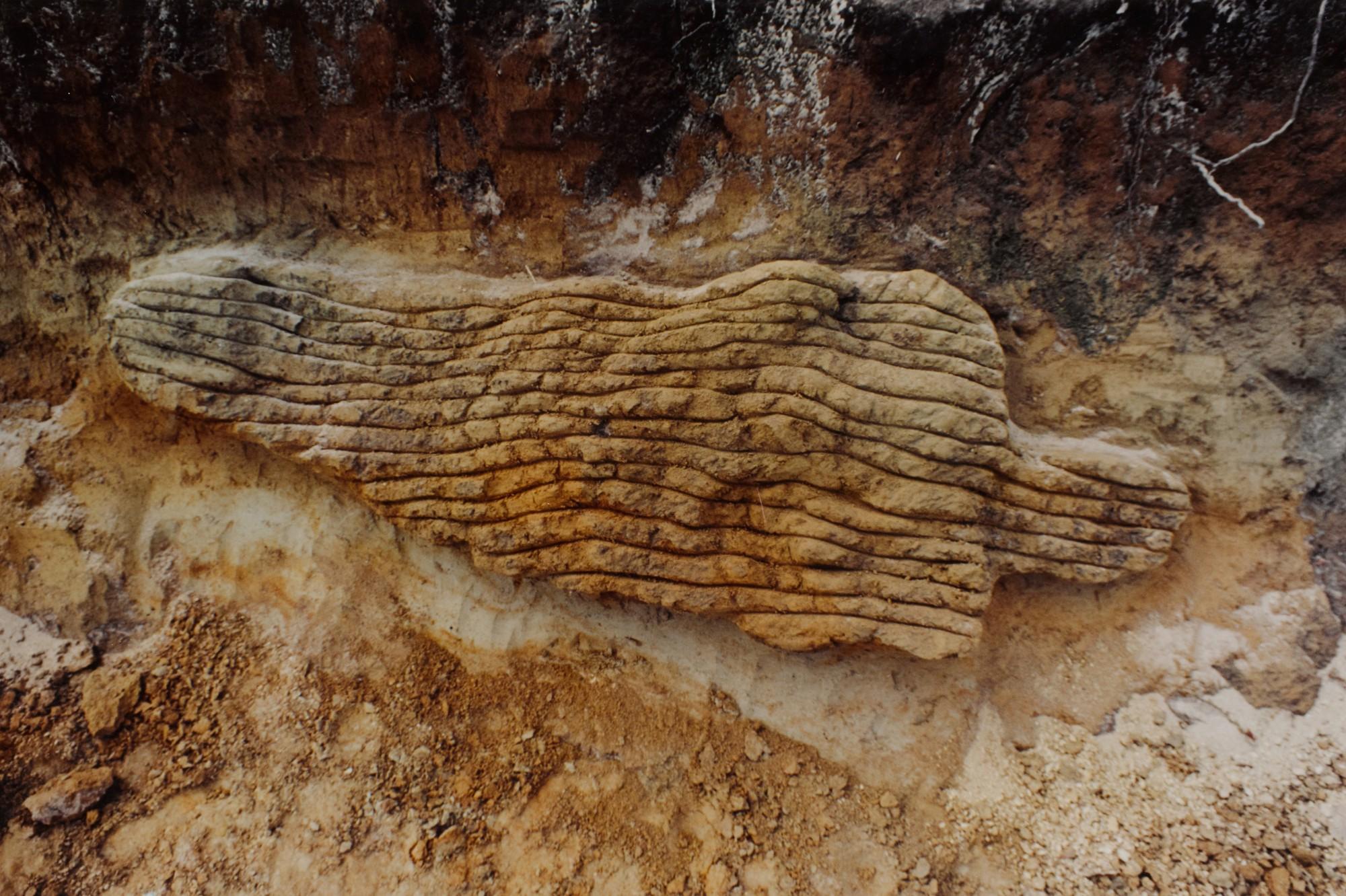 Ana Mendieta - \'Untitled\', July 1983