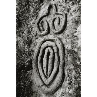 Ana Mendieta - Untitled (La Concha De Venus)