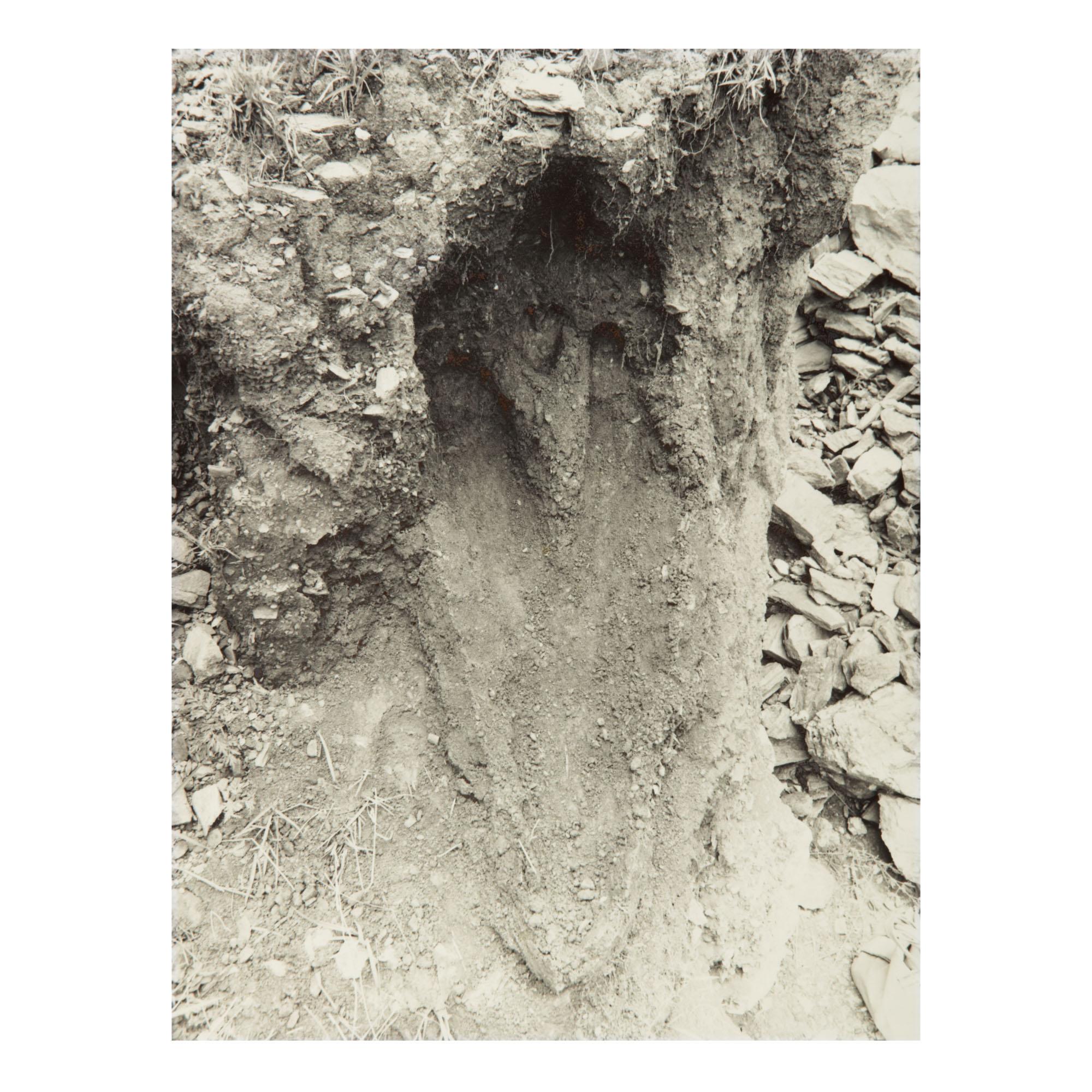 Ana Mendieta - Untitled: Silueta Series, Mexico