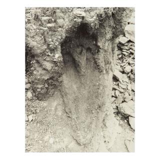 Ana Mendieta - Untitled: Silueta Series, Mexico