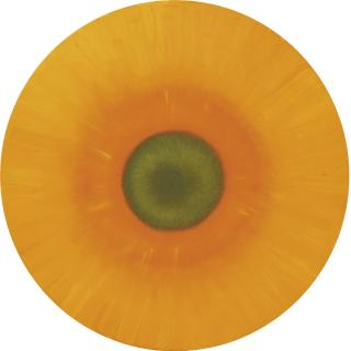 Ana Mercedes Hoyos - Girasol