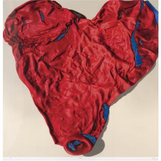 Anant Josh - Aorta Edition 2 Of 5