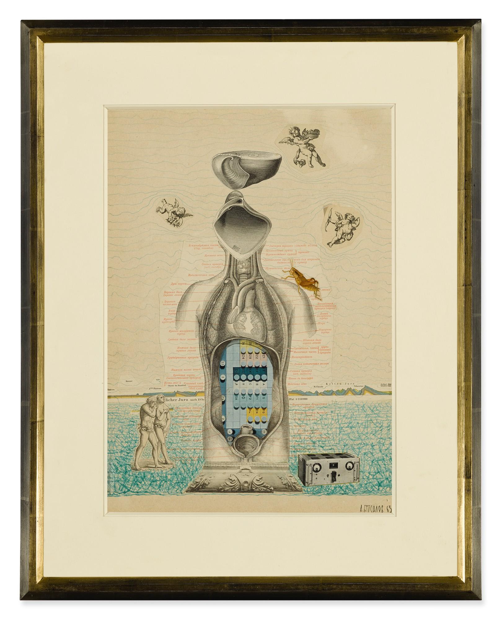 Anatoly Brusilovsky - Anatomical Diagram