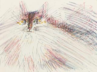 Anatoly Zverev - Cat