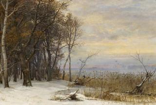 Anders Andersen-Lundby - Wintertag am Seeufer