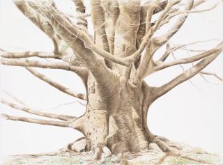 Anders Knutsson - Sketch for Sam