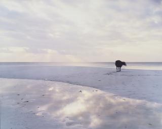 Anders Krisár - Chord No. 8