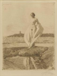 Anders Zorn - The Swan (A. 269)