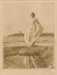 Anders Zorn - The Swan (A. 269)