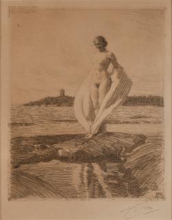 Anders Zorn - \'The swan\'