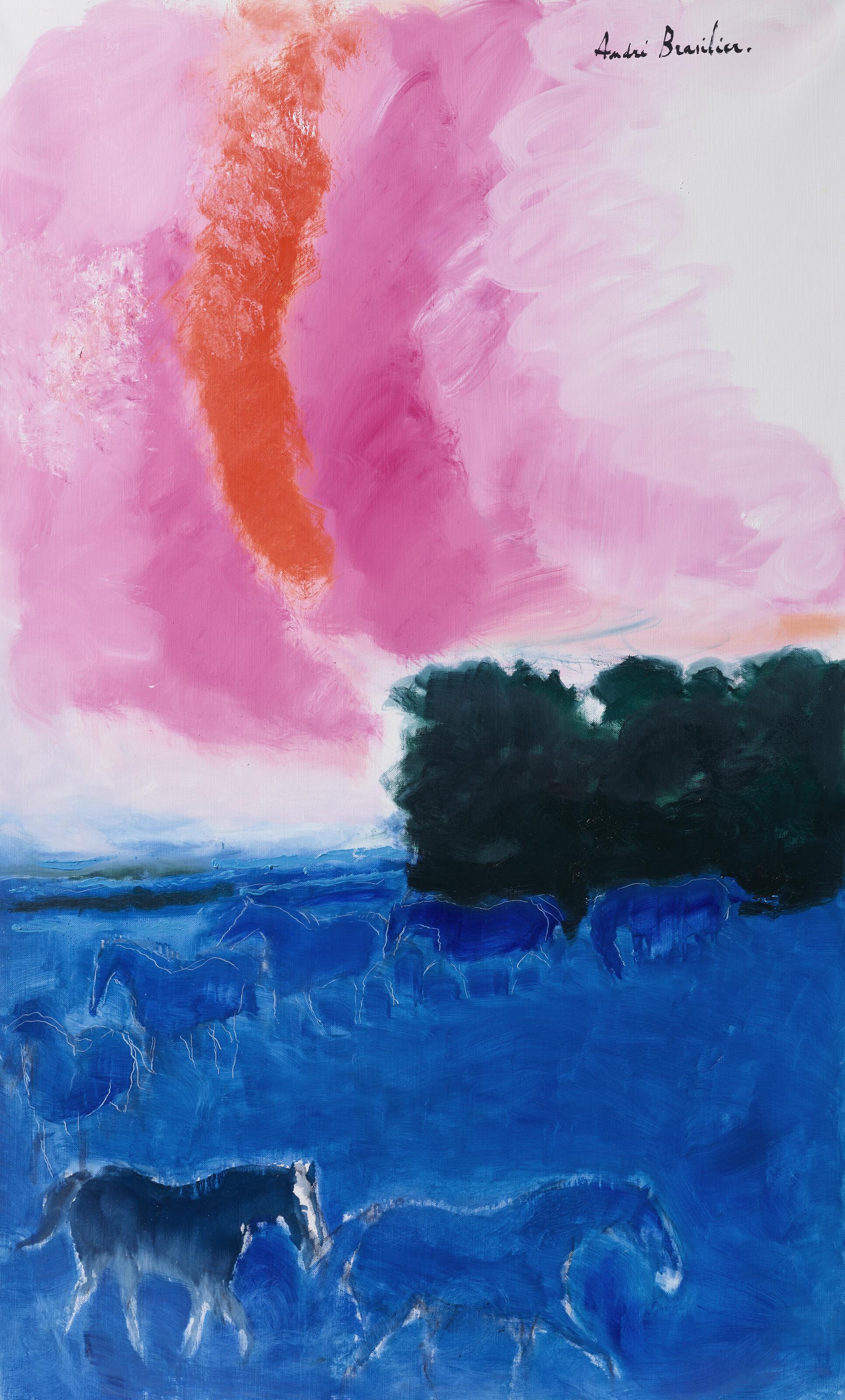 Andre Brasilier - Ciel de feu